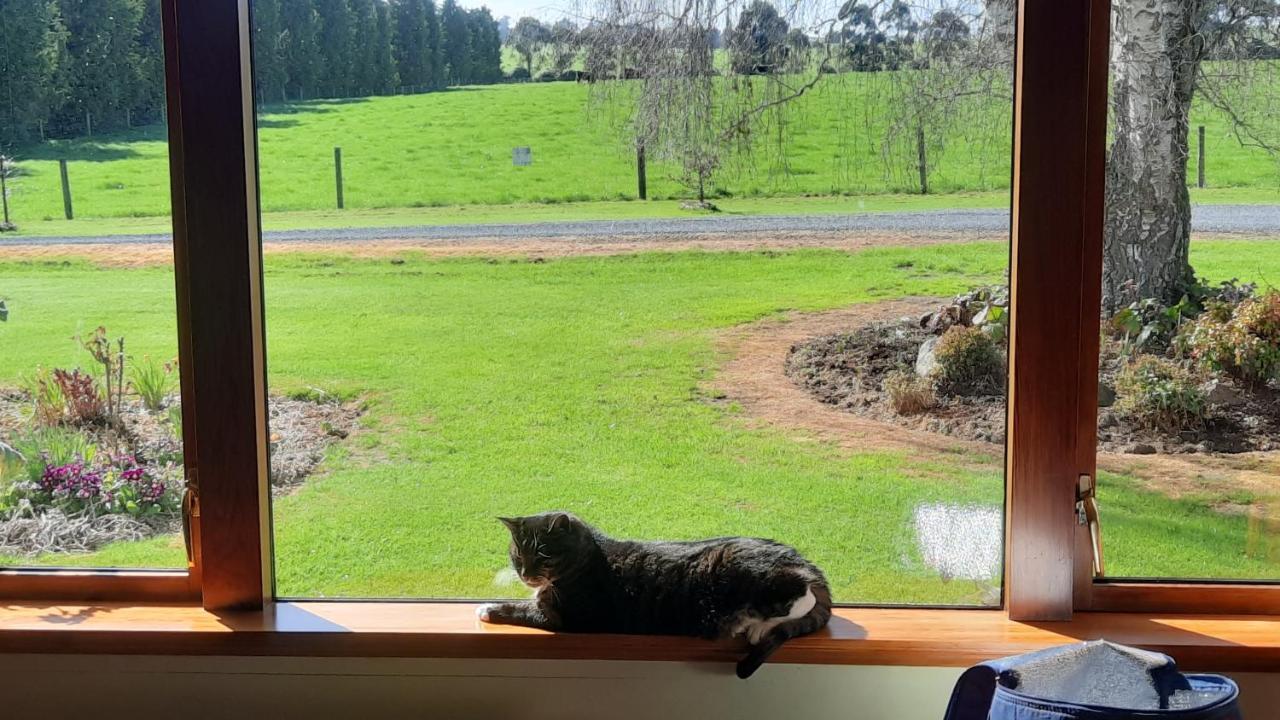 Greenfield Country Homestay Pukeawa Exterior photo
